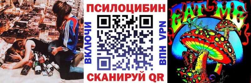 где можно купить наркотик  Копейск  Псилоцибиновые грибы Psilocybine cubensis 